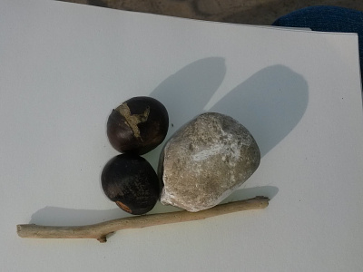 Una ramita, una piedra, dos castañas y el sol autumn natural natural language