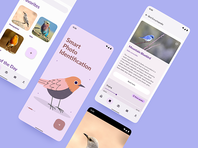 Birdwatching Android App android app birds birdwatching dynamic color material you ui ui ux design user expirience