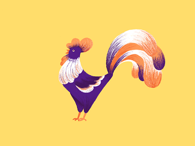 Just a Rooster animals flat illustration procreate rooster