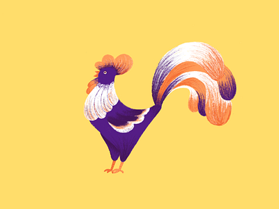 Just a Rooster