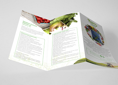 Brochure Design branding brochure brochure design graphic design illustration logo tri fold vector