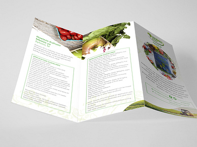 Brochure Design