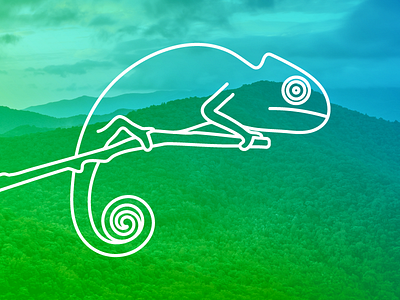 Chameleon chameleon icons illustration