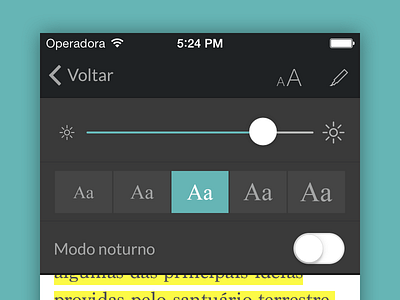 Font size and brightness adjust app book brasil brazil brightness flat font size iphone reader ui ux