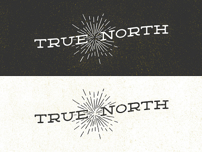 True North Branding branding hand drawn identity logo texture vintage