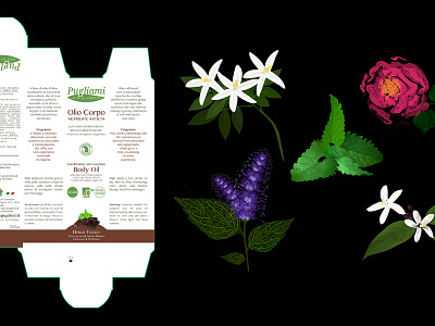 Package 3d box flower illustraion mock up package package design print