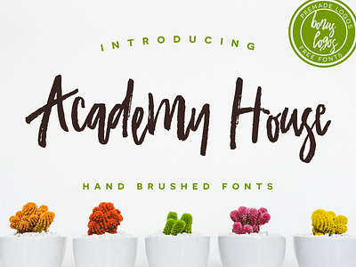 Academy House Font branding brush font hand drawn lettering marker packaging pen script type typography