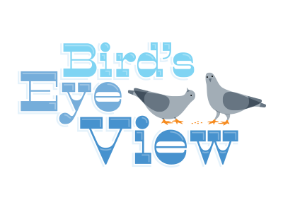 Bird's Eye View 1 logo pigeon