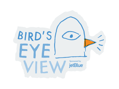 Bird's Eye View 2 bird hand drawn logo pigeon