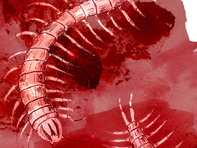 Wrath centipede illustation pencil drawing photoshop watercolor wrath