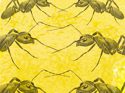 Greed ants greed pencil sketch photoshop seven deadly sins watercolor yellow