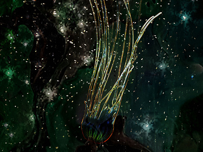 Space Jellyfish colors jellyfish photoshop space stars