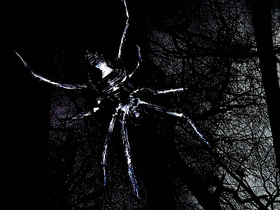 Spider's Web black pencil sketch photoshop spider