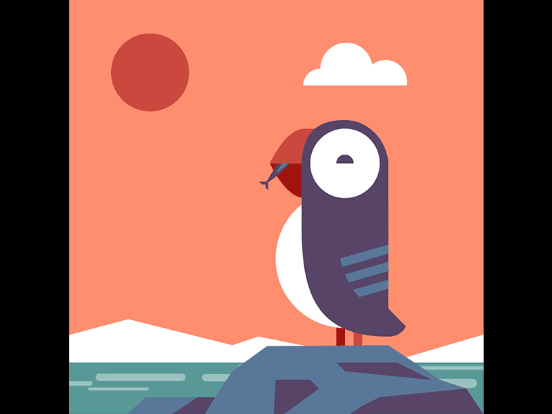 Puffin animation gif iceland illustration mograph motiongraphics puffin