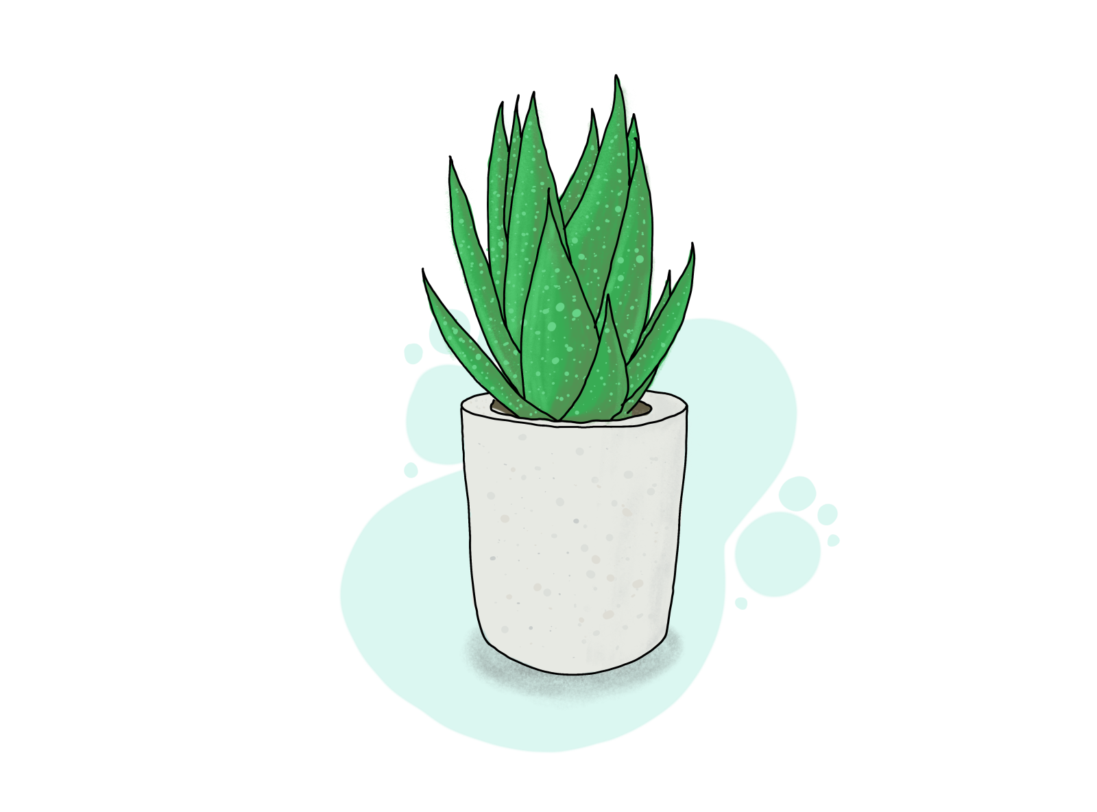 aloe flower drawing