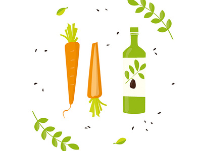 Carrots and olive oil food illustration vector