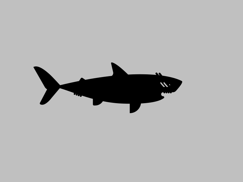 Fun Great White after effect android animal animation app black and white dribbble game gif ios motion animation motion design shark simple videogame