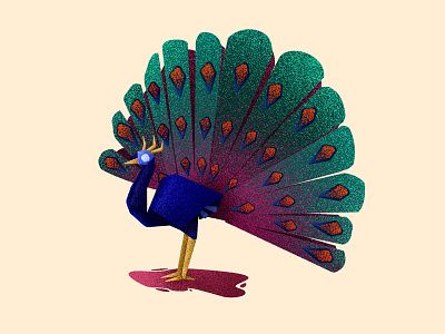 Peafowl aviary aviary illustration bird design inspiration illustration illustration art peafowl illustration