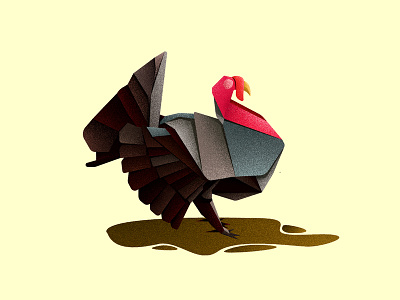 Turkey aviary aviary illustration bird bird icon bird illustration design inspiration illustration illustration art turkey