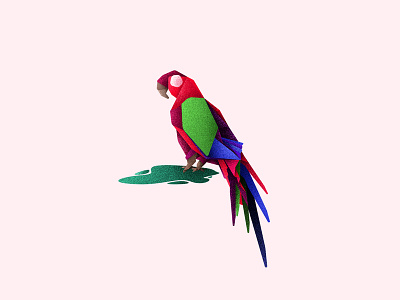 Macaw