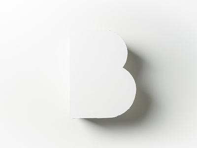 Box analog b box handmade letterform photography the b project typography white white on white