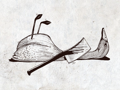 The Duck brand branding design drawing duck illustration story storytelling