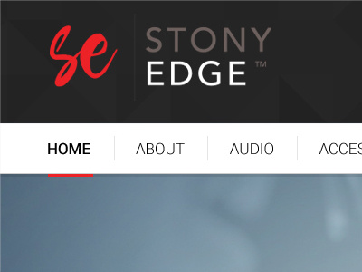 Stony Edge electronics logo website