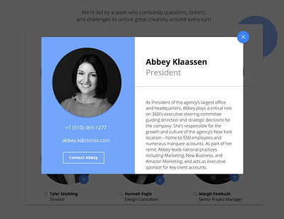 Get to know the Clorox Team! brand identity uiux user interface ux visual design