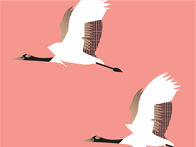 Avanti bird design illustration vector