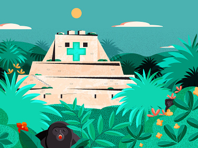 Learning Maya Medicinal Practices in Belize - header belmopan belmopan design editorial editorial illustration illustration illustrator maya minimal vector