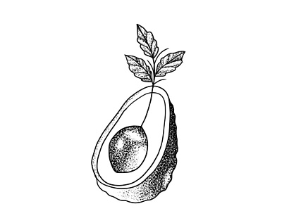 Avocado art blackwork design illustration tattoo