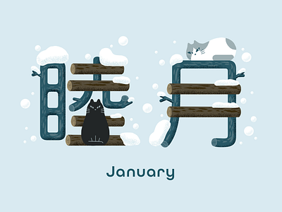 January cat