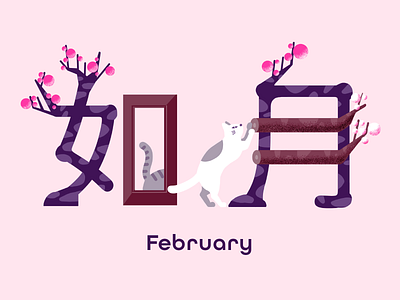 February cat