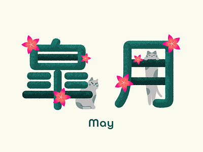 May cat