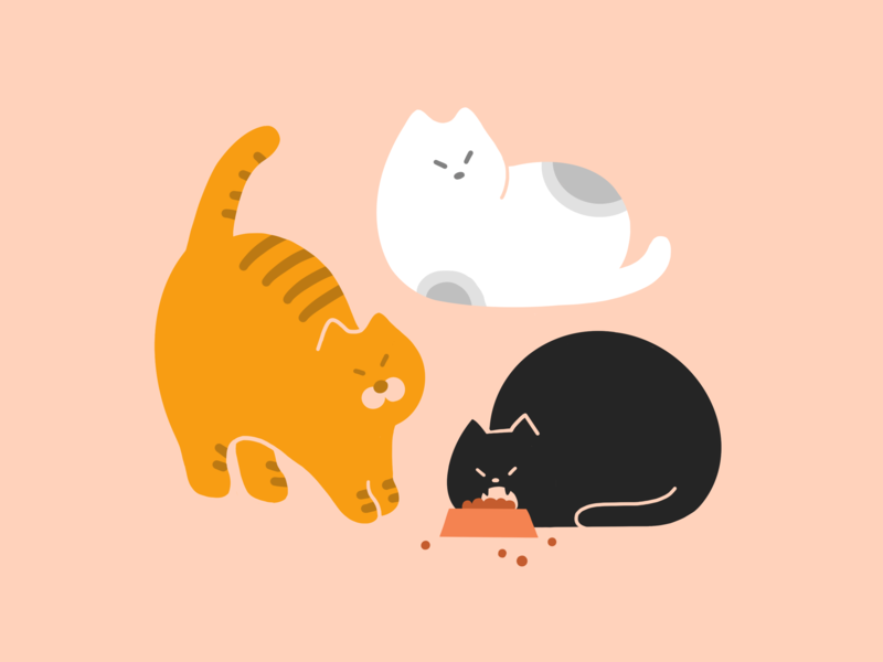 Lunchtime animal cat design graphic illustration procreate
