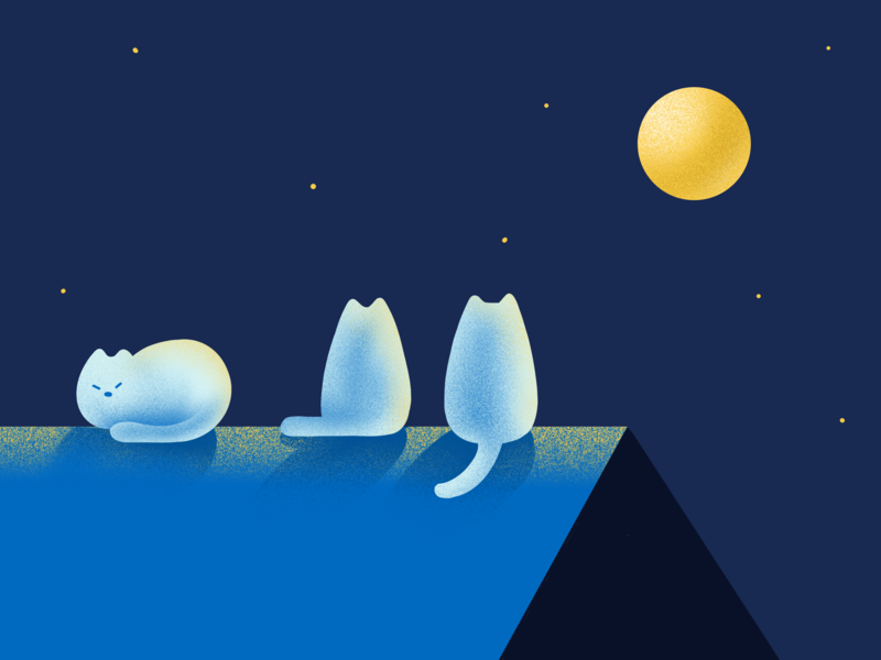 Midnight meeting animal cat design graphic illustration procreate
