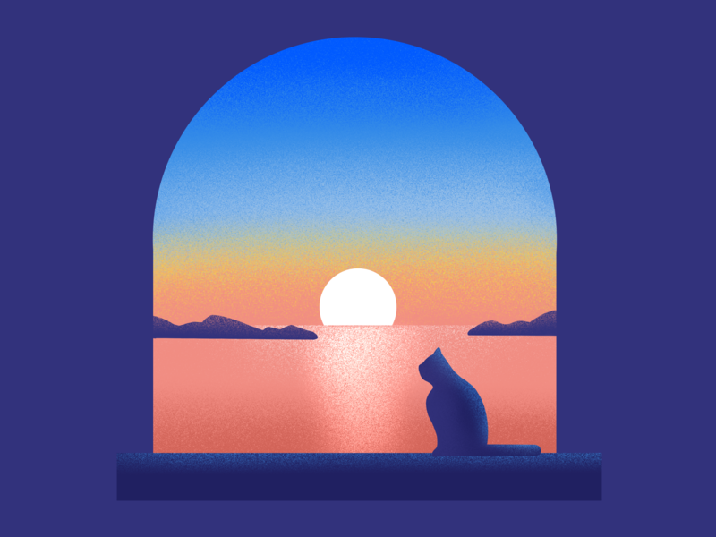 Sunrise cat design graphic illustration procreate