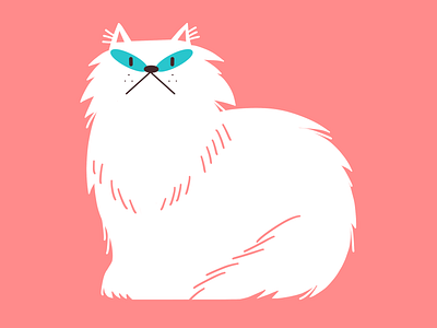 Persian cat