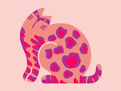 Bengal cat animal cat design graphic illustration procreate