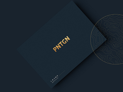PNTGN agency blue branding card design design agency elegant foil gold minimalistic pntgn