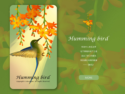 humming bird design illustration 插图