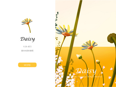 daisy design illustration 插图