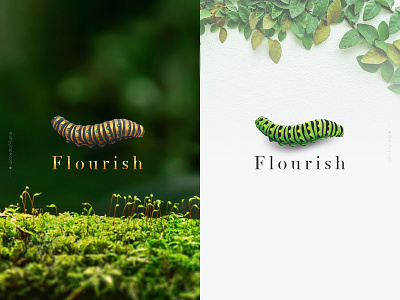 Logo for Flourish animal caterpillar company company logo corporate design elegant logo logodesign vector