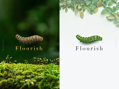Logo for Flourish