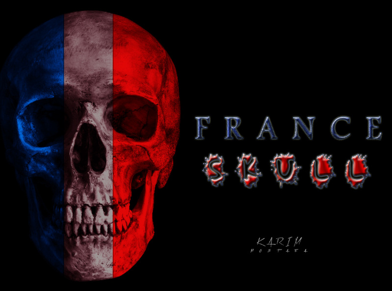 France Skull by Karim Mostafa on Dribbble