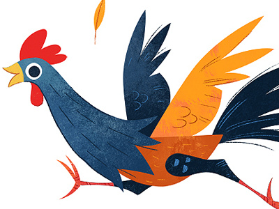 Chook chicken illustration