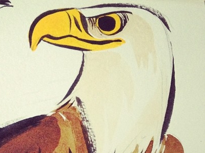 Eagle bird eagle illustration painting