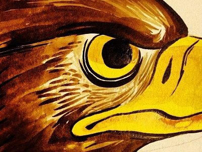 Eagle Again bird eagle illustration painting