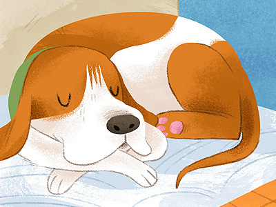 Hound Dog animals dog illustration