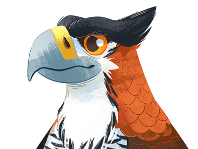 Terao bird eagle illustration